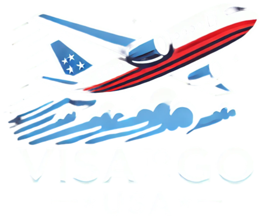 Visa to Go Logo